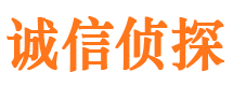 萨嘎侦探公司